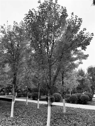 盈策略 浑南奥林匹克公园